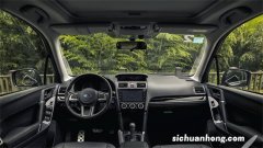 是坚持的理念，让斯巴鲁森林人与高亭宇相遇