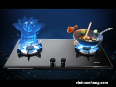 华帝i10009C台式嵌入两用燃气灶美图欣赏