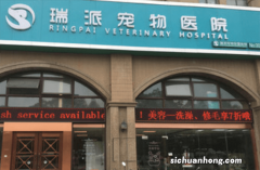 宠物医院加盟10大品牌排行榜，贝贝康宠物上榜，第一相当专业