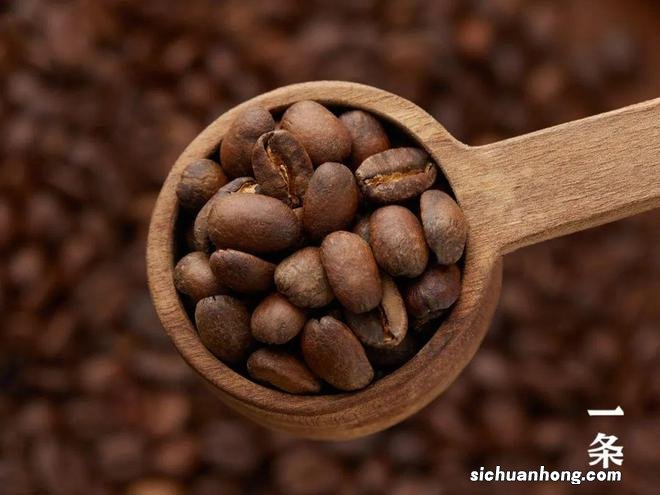 世界十大咖啡排名，猫屎咖啡上榜，第一产量非常稀少