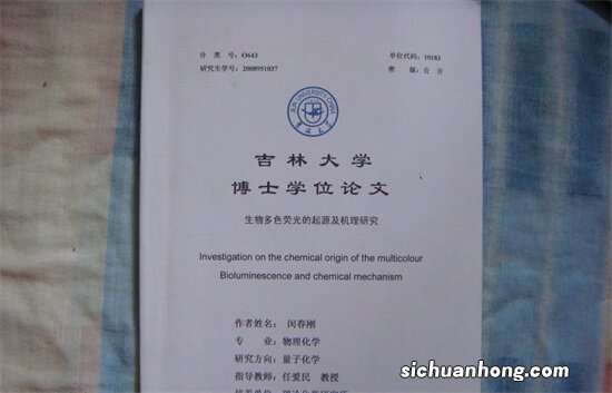 大学生如何使用各大论文查重网站检测论文？