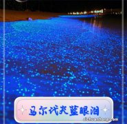 奇闻：浙江多地海边现“蓝眼泪”奇观 什么是蓝眼泪？