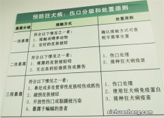被鸡啄破了腿怎么办 被鸡啄破了腿如何处理