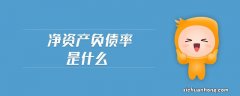 「案例」财务分析——杜邦分析方法的实际运用