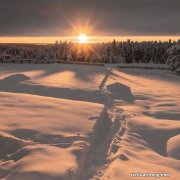 建议适当降低按揭贷款利率 真的可以促进房地产市场销售回暖？