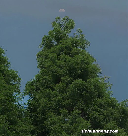 小时候总是做梦梦到从很高的地方掉下来是怎么回事？你是否有过同样的经历呢？