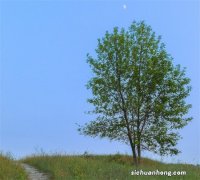 看看这几款车120码时发动机转速