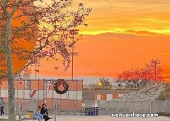 发生人伤事故，驾驶员怎么处理才不会吃亏？