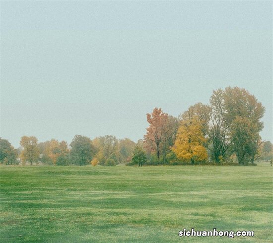 手机QQ还能这么玩！你一定没发现的功能！