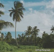 中信银行福山支行经理梁骏：贴心服务让客户更舒心