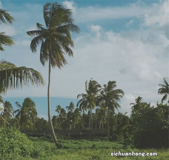 中信银行福山支行经理梁骏：贴心服务让客户更舒心