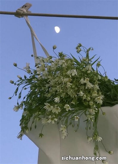 发动机什么转速时积碳最少?记住这个“金标准”,合理调整车速