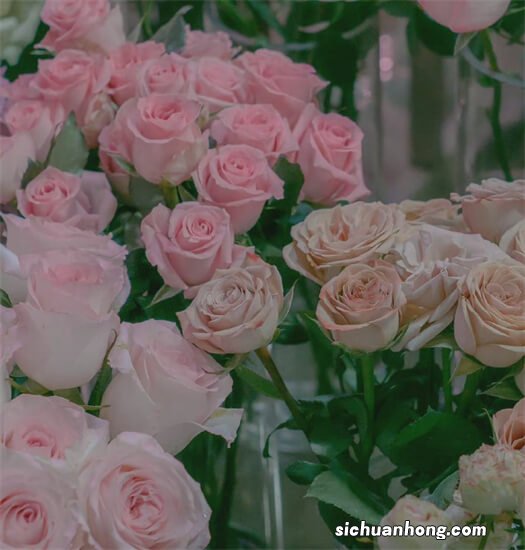 A股:明天大盘走势分析:图穷匕首见,年线不重要,巨浪还在后面