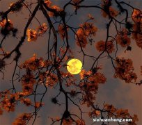 剑侠世界手游电脑版怎么玩？ 电脑版怎么下载安装？