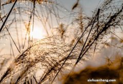 作为一个桌面运维工程师，是种怎样的体验？