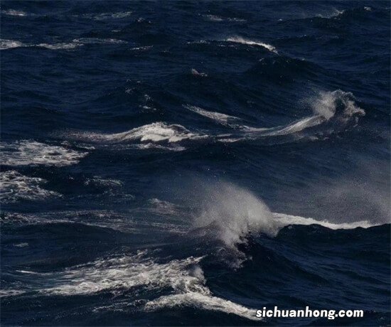 怎么对刹车性能进行检测？