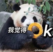 2019版驾驶证、行驶证业务办理攻略