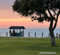 TCL、韩电等空调厂家如给杂牌代工，等于自杀