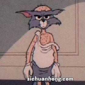 金猴奋起千钧棒,玉宇澄清万里埃