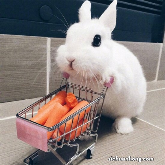 压力位在明天，等待一个信号