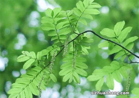 天策:果然有震荡,您又慌了没?