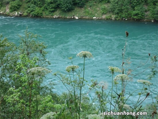 汽车装具讲堂:如何自己检测手刹?