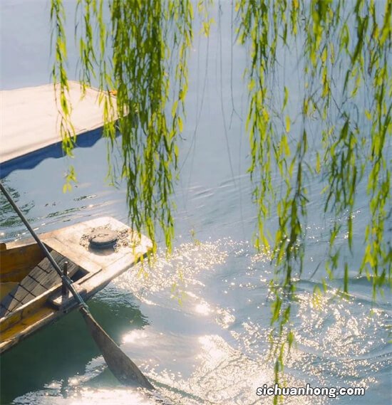 刹车灯损坏在路上行驶会有哪些危害？交警会罚款吗？