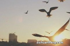 回落的七月都拦不住我们抓涨停，八月只会更好