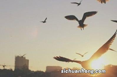 回落的七月都拦不住我们抓涨停,八月只会更好