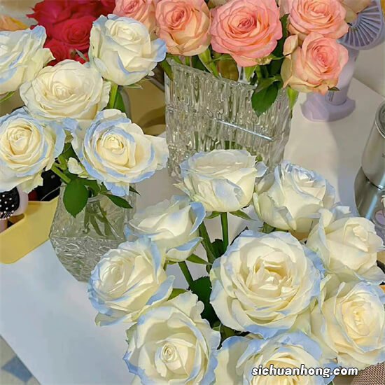 免息贷款买车划算吗？免息贷款买车陷阱玄机