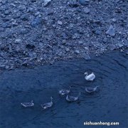 橱柜品牌排行榜前十名：尚品宅配上榜，第一提供一体化服务