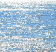 免费领取《迅游加速》VIP月卡，助你畅玩全球 &amp; 7款限免IOS软件