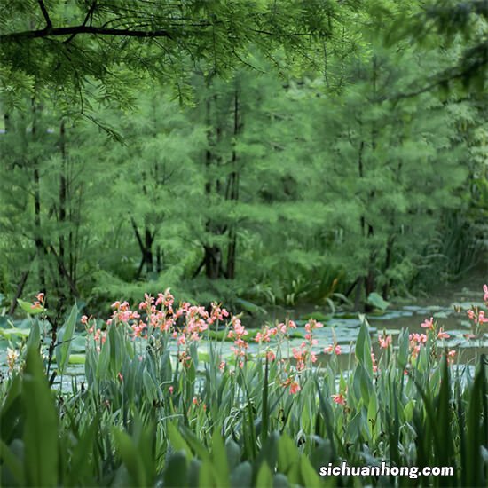 即将步入小学一年级，有必要给孩子配备电话手表吗？