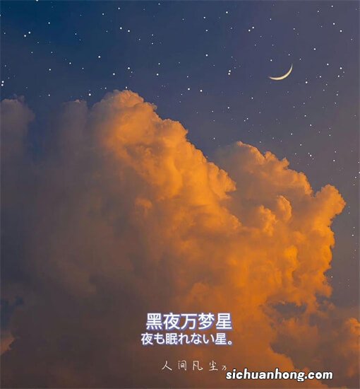 外观内饰均大改 有望明年引入 新款福特锐际纽约车展亮相