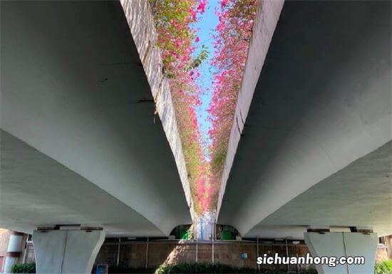 买二手车需要注意哪些方面？