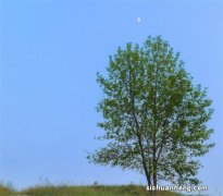 美国已经对中国构成极大威胁！近期，随着美国长期无差别监控中国手机