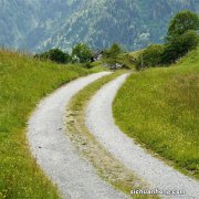 驾驶证期满换证的线上和线下方法