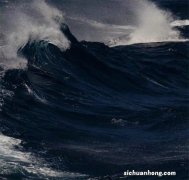 当垂直业务铺开，资源整合也变得重要起来，“车生活”想做汽车服务的“去哪儿”