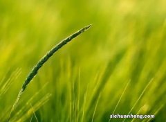 房贷利率跌破4%，之前5.88%贷款买房的人，该如何减少损失？