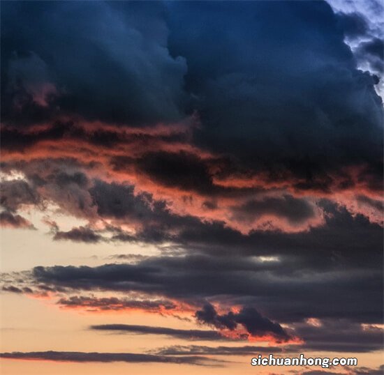 生猪期货的阳谋，交割月前再收割一次，谁让散户无法交割呢