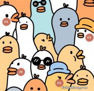 家里电视用WiFi联网好还是网线好？其实原因很简单，一说就破