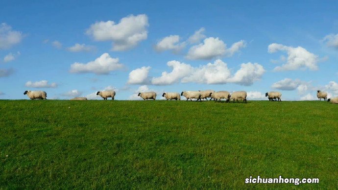 各大银行的客服电话