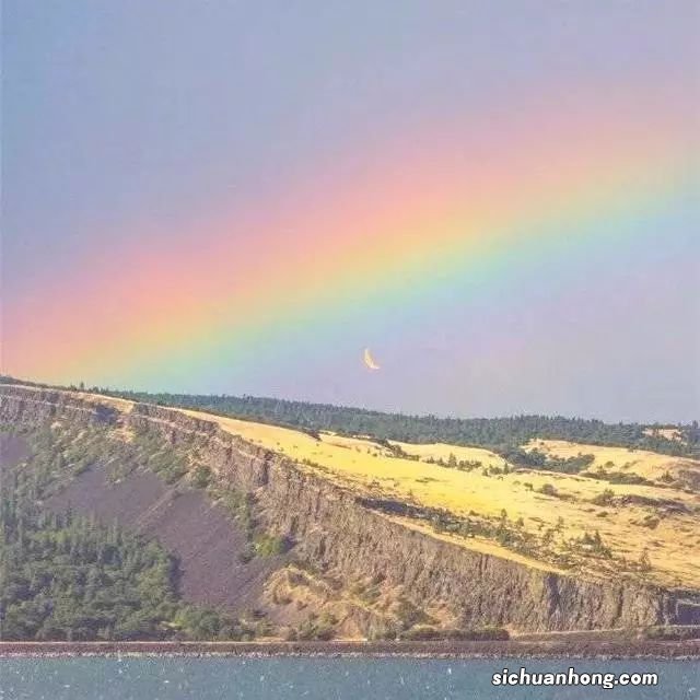 《中国铝市场报告》2018年第144期