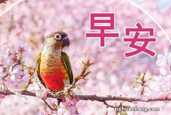 韩国粉底液排行榜10强，菲诗小铺上榜，第二是来自韩国知名品牌