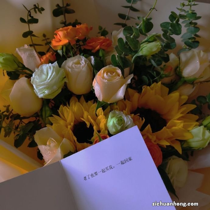 车险费率改革后 这些事你知道吗？