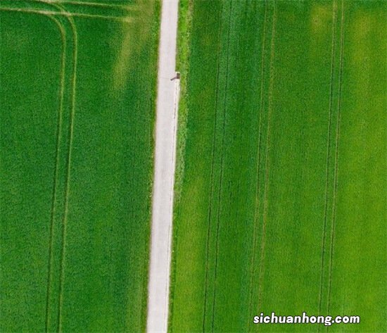 建行大放水，速领分期通额度
