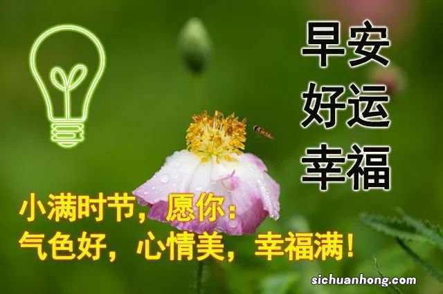 钟南山说能覆盖XBB的疫苗很快面世 这一疫苗带来了怎样的信心？