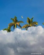 实操，手把手教你在线申报工商年报，超级简单