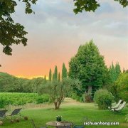 SUPOR 压饭非常香的电压力锅：苏泊尔6升大容量智能触控球釜