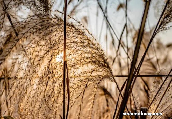 新手开车技巧，确定前轮位置，准确判断与障碍物距离
